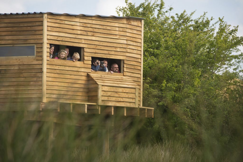 Bird hide Wildlife watching holidays Cornwall